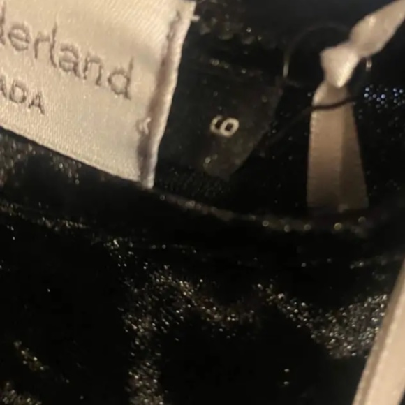 Allison Wonderland black velvet dress with ruching - Picture 2 of 2